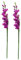 Fenteer 2Pack Artificial Gladiolus Flowers for Wedding Decoration ()