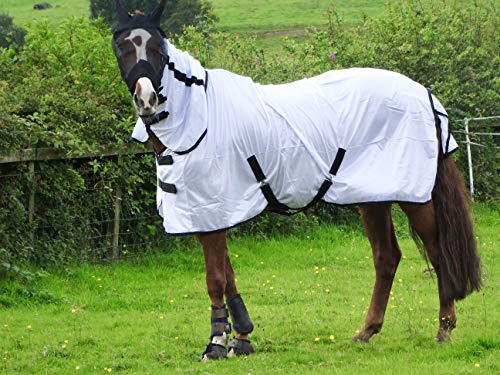 Turner Couverture anti-mouches pour cheval/poney/shetland Blanc froid 1,8 m