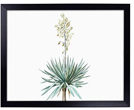 Lap Tray with Cushion | Adams Needle Yucca Flowers by Pierre-Joseph Redoute | Padded Bean Bag Cushion | For Eating, Working, Crafting, Laptop | Portable Table Desk