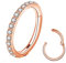 BLESSMYLOVE Clear CZ Rose Gold 16G 6mm Nose Rings Hoop 316L Surgical Steel 16 gauge Cartilage Earrings Daith Helix Rook Lobe Snug Body Piercing Jewelry Stainless Steel Hinged Segment Rings Lip Rings