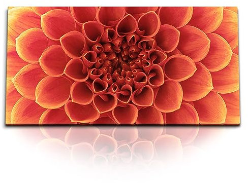 Paul Sinus Kunstdruck Bilder 120x60cm Dahlie Blume Blüte Nahaufnahme Rot