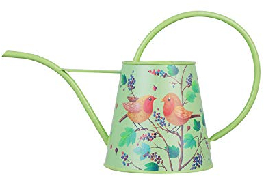 Berry & Bird Gießkanne mit langem Auslauf für Haus & Garten, Gewächshaus, Indoor, Outdoor, Metall, im British Bloom Style für Zimmerpflanzen, Bonsai, 2 Liter, Grün