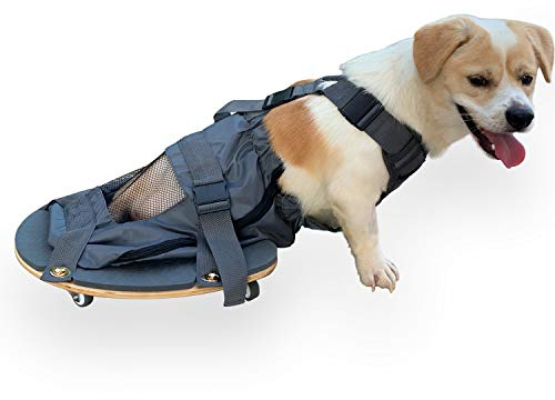 derYEP Hundescooter Rollstuhl für Hinterbeine gelähmt Hund Schützt Brust und Gliedmaßen (S)