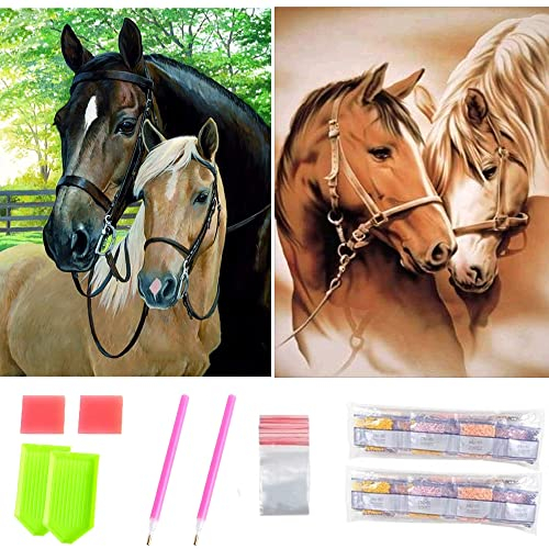 NIAWECAN Diamant Painting Bilder, 2 Stück Pferd DIY 5D Diamond Art Painting Kit Crafts, Diamond Painting Bilder für Erwachsene Kinder Home Wall Décor (30 X 40cm)