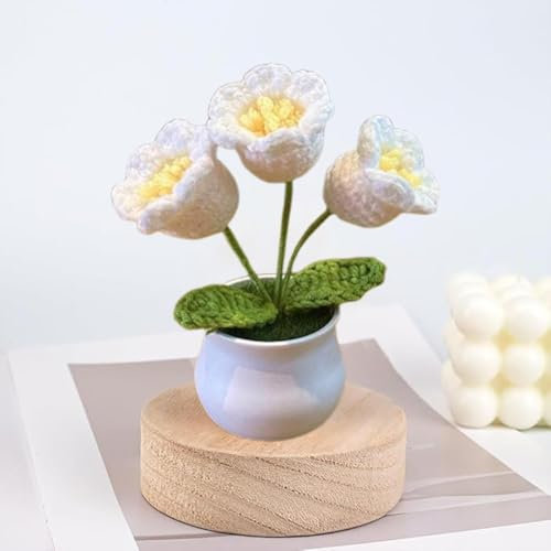 Esyzsss Bouquet di fiori all'uncinetto, fiori lavorati a maglia, orchidea a campana intrecciata a mano, piccola pianta in vaso con fiori puri all'uncinetto, adatta per scrivania di casa e ufficio