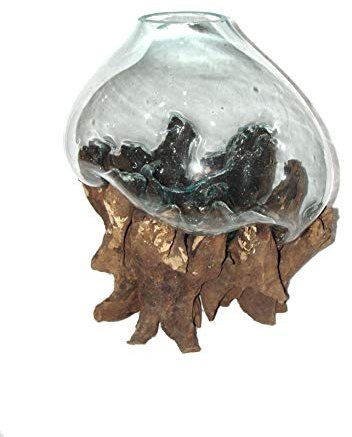 SAWA Glasvase Bodenvase 50 cm auf Wurzelholz spezielle Vase mit Holz Wurzel