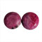 Facettierter Schliff echter roter Rubin rund Paar Cabochon 13 Kt Ohrringe Paar Stein lose Edelstein AG-8385