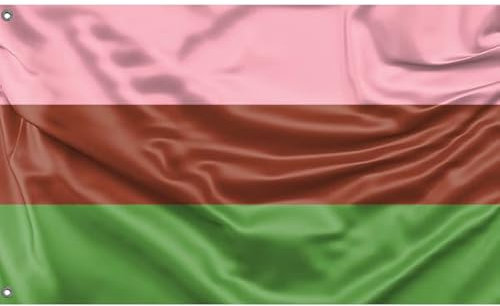 Gynosexuelle Stolzflagge | Einzigartiger Designdruck | Hergestellt in der EU (90 x 150 cm)