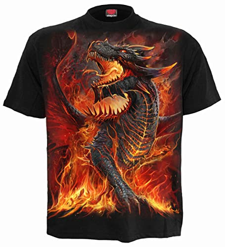 Spiral - Dragons Collection