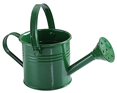 NZXVSE Arrosoir en métal vintage, mini pot d'eau de jardinage pour enfants, arrosage de jardin en fer pour plantes d'intérieur et d'extérieur, vert