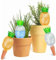 RoseFlower Confezione da 4 palline di irrigazione autoirriganti in terracotta, altezza 15,2 cm, a forma di ananas, per piante da interno