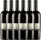 VINELLO 6er Weinpaket Rotwein - Piano del Cerro Aglianico del Vulture DOC 2019 - Vigneti del Vulture mit Weinausgießer | 6 x 0,75 Liter