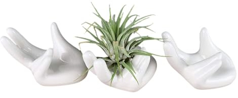 ourhommie Air Plant Holder Cute Ceramic Airplants Tillandsia Succulent Display Container Pot Home Decor for Desk Table Shelf (3pc)
