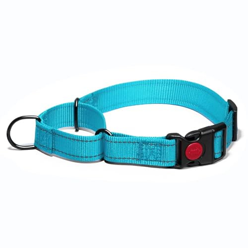 Martingale Hundehalsbänder, Weiches Reflektierendes Halsband für Mittlere und Große Größen (Blau, M)
