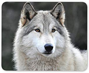 Husky Wolf Forest Animal Mouse Mat Pad - Gray Wild Dog His Hers #16947