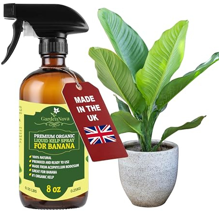 GARDENNOVA Professional Organic Liquid Kelp Spray for Banana Trees - 8 oz - Ready-to-Use Fully Organic Seaweed & Kelp Fertilizer Mist