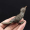MANGOUSONG Figuren aus Messing, 10,4 x 4,2 cm, Antik-Kupfer, Eisvogel, kleine Statue, Ornament, Vintage, Metall, Tier, Vogel, Schreibtischdekoration