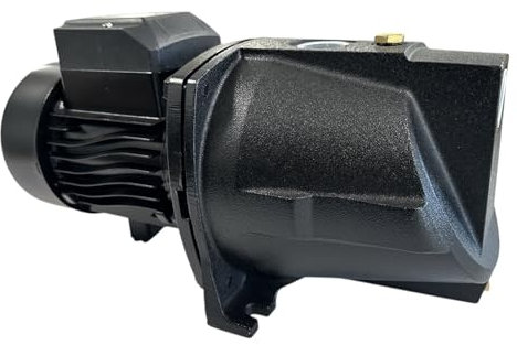 eacommerce - Elettropompa Autoadescante | Corpo in Ghisa per Autoclave e Irrigazione Giardini | Girante Ottone Silenziosa | Ideale per Pozzi e Serbatoi, Potenza 0,55 Kw - 550W
