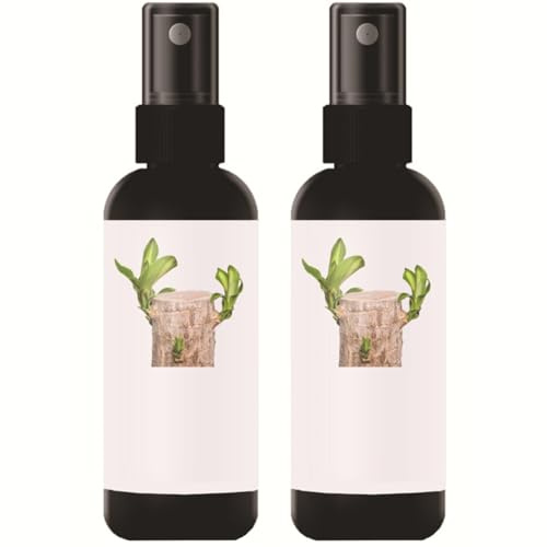 Engrais pour plantes en bambou Engrais liquide formulé pour plantes d'intérieur en bois brésilien pour une croissance saine 2 paquets de 100 ml chacun