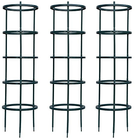 Tomato Growing Supports x 3 by Thompson and Morgan