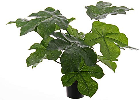 artplants.de Ceropegia Textil LONY, Verde, 50cm