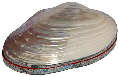 Wogeka - Schöne Muschel Schmuck-Schatulle- Schmuckkästchen aus Perlmutt als Geschenk-Idee zu Geburtstag Weihnachten zur Dekoration Afrika Handarbeit Schatulle12 (Schatulle12XL rot (24 x 13 x 6 cm))