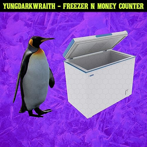FREEZER N MONEY COUNTER