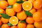 Exotischer Orangenbaum - Brasilianische Orange (Citrus sinensis), 100-120 cm | Fruchttragender Zitrusbaum für Zuhause & Garten | Pflegeleicht, Immergrün, Aromatische Früchte, Dekorative Zimmerpflanze