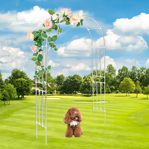 WANGTIAN Arco per Rose 150 cm/4,9 Piedi 180 cm/5,9 Piedi 250 cm/8,2 Piedi 300 cm/9,8 Piedi 320 cm/10,4 Piedi Robusto Arco da Giardino per Piante rampicanti, pergolato (Bianco, L320xA240 cm/10,4x7,8 p
