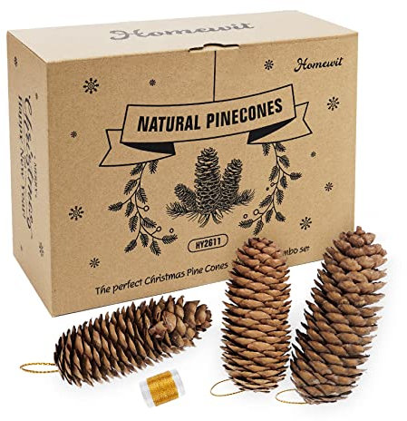 Christmas Pine Cones, Natural Pinecones Ornament Snow Pine Cone Decorations With String for Gift DIY Crafts Home Xmas Tree Wreath Dried Garland Holiday Winter Decoration (30, 6-8CM)