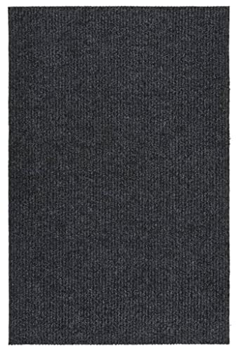vidaXL Schmutzfangläufer Gel-Rückseite Sauberlaufmatte Schmutzfangmatte Fußmatte Teppich Läufer Schmutzmatte Teppichläufer 100x150cm Anthrazit