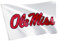 Desert Cactus University of Mississippi Flagge Rebellen Ole Miss U of M Flaggen Banner, 100 % Polyester, für drinnen und draußen, 7,6 x 12,7 cm (Design Y)
