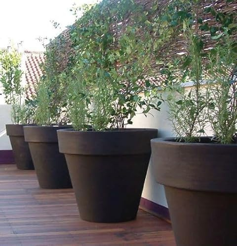 Serralunga Vaso per Piante in Resina Bordato Liscio Ø68 H60 Terracotta Scura