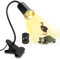 Tortoise Lamp Reptile Heat Lamp with 240CM Cable UVA UVB Basking Lamp for Aquarium Heat Spotlight Holder Reptile Ceramic Lamp Holder Turtle Tank Accessories with Dimmable Switch Turtle Lamp(No Bulb)