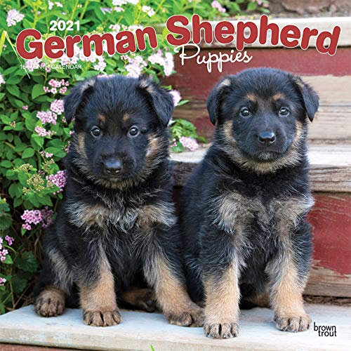 German Shepherd Puppies 2021 Calendar