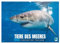 Tiere des Meeres: Faszination Tauchen (Wandkalender 2025 DIN A2 quer), CALVENDO Monatskalender