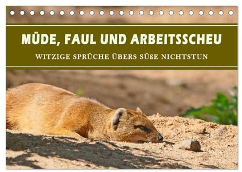 Müde, faul und arbeitsscheu (Tischkalender 2026 DIN A5 quer), CALVENDO Monatskalender: Schwache Momente humorvoll verpackt (CALVENDO Spass)