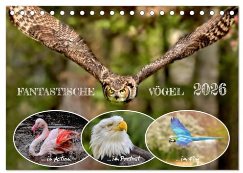 Fantastische Vögel (Tischkalender 2026 DIN A5 quer), CALVENDO Monatskalender: Vögel in majestätischen Flugaufnahmen und Porträts. (CALVENDO Tiere)