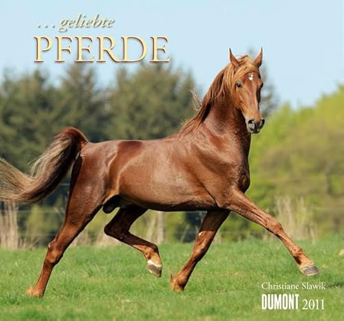 ... geliebte Pferde Kalender 2011