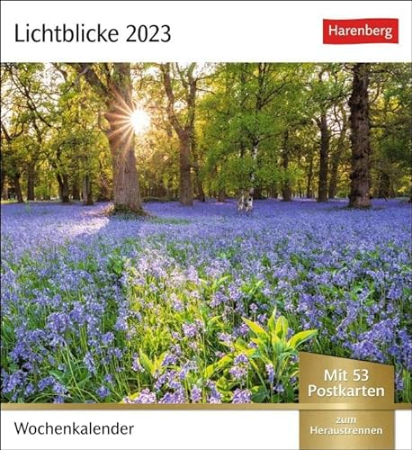 Lichtblicke Postkartenkalender. Kalender zum Aufstellen oder Aufhängen. Postkarten-Tischkalender 202 mit beeindruckenden Fotos bekannter Künstler.: Wochenkalender mit 53 Postkarten