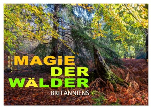 Magie der Wälder Britanniens (Wandkalender 2026 DIN A3 quer), CALVENDO Monatskalender: Besondere, magische Momente eingefangen in den Wäldern Großbritanniens (CALVENDO Natur)