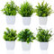 LuckyCao 6 Pack Small Artificial Plants in Pots, Mini Fake Plants Potted Indoor/Outdoor Faux Plants Artificial Flowers Potted Plastic Plant for Home, Office, shelf,Table,Garden Decor