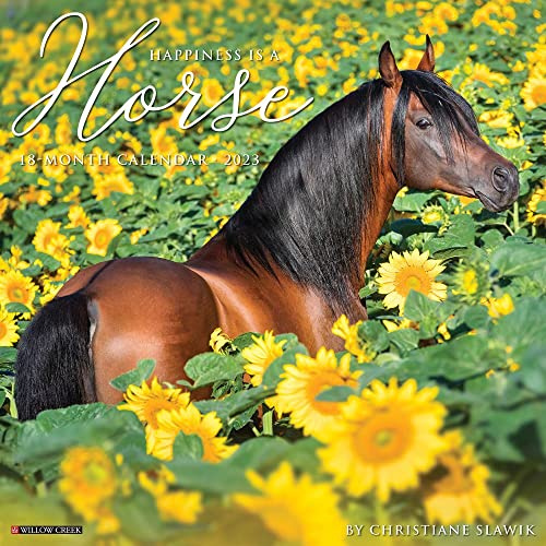 Happiness Is a Horse 2023 Wall Calendar