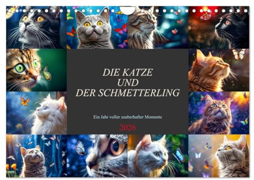 Die Katze und der Schmetterling (Wandkalender 2026 DIN A4 quer), CALVENDO Monatskalender: Jeden Monat eine neugirige Katze, die einen zauberhaften Schmetterling bewundert. (CALVENDO Orte)