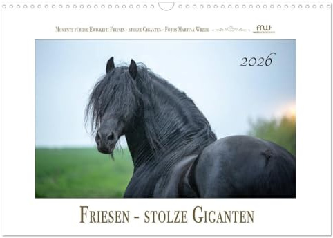 Friesen - stolze Giganten (Wandkalender 2026 DIN A3 quer), CALVENDO Monatskalender: Friesen - schwarze Pferdeschönheiten (CALVENDO Tiere)