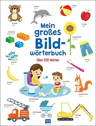 Mein großes Bildwörterbuch: Zweisprachiges Bildwörterbuch mit über 250 Wörtern in Deutsch-Englisch für Kinder ab 3 Jahren