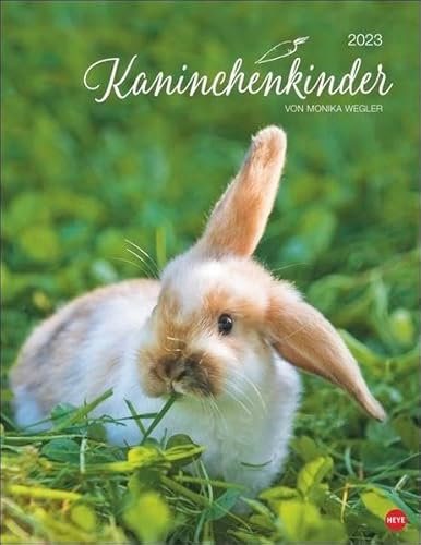 Kaninchenkinder Posterkalender 2023 von Monika Wegler. Ein bezaubernder Tierkalender mit süßen Fotos. Dekorativer Kalender für Tierfreunde. Hochformat 34x44 cm.