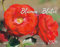 Blumen Blüten Kalender 2024 | Natur Kalender im Großformat (58 x 45,5 cm): Flowers . Blossoms 2024