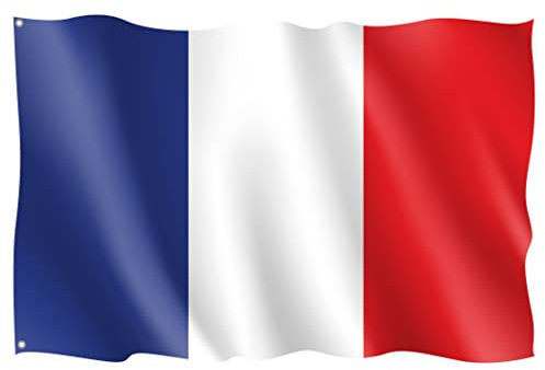 OEDIM Bandera de Francia | 150x85cm | Reforzada y con Pespuntes | Bandera con 2 Ojales Metálicos y Resistente al Agua