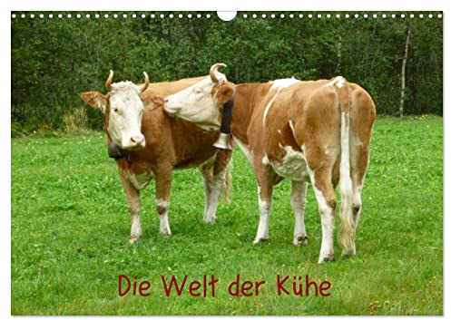 Die Welt der Kühe (Wandkalender 2025 DIN A3 quer), CALVENDO Monatskalender